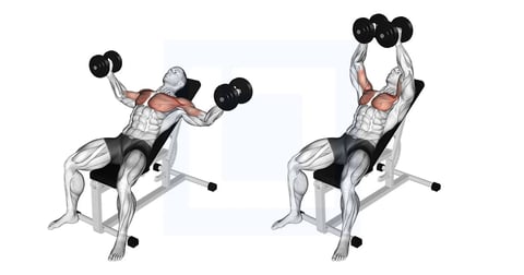 Dumbbell bench press exercise showing starting and ending positions on an incline weight bench